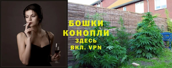 бошки Горнозаводск