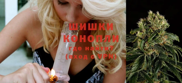 прущие грибы Сафоново