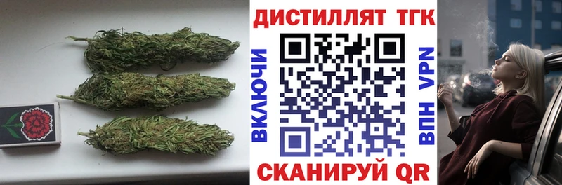 ТГК THC oil  Шенкурск 